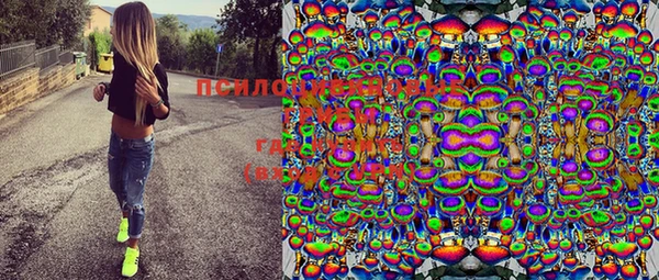 mdpv Киреевск